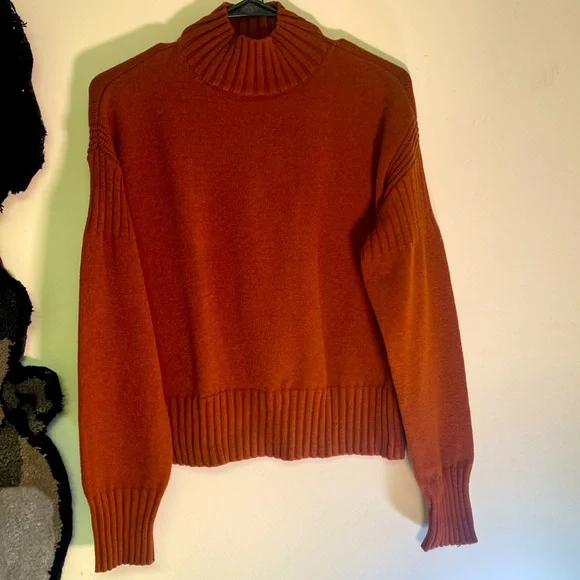 Cyrus Soft Knit Sweater in Pumpkin Rust-Ribbed Mock Turtleneck. - Picture 2 of 5